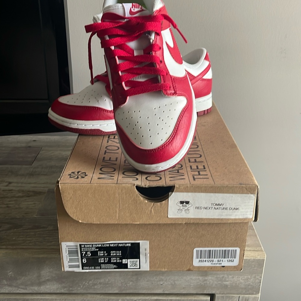 Women’s Nike dunk Tommy red next nature dunk
